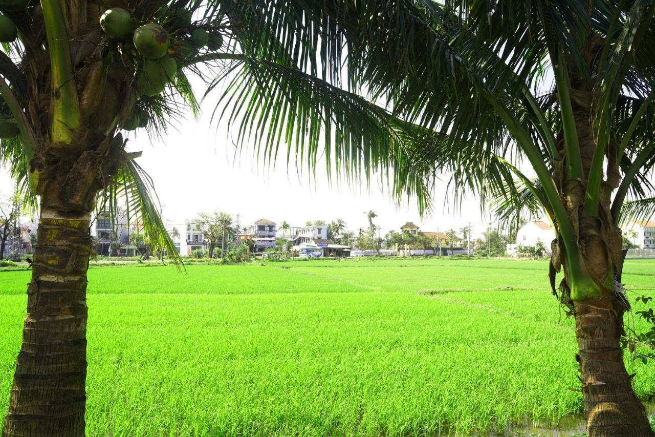 Hoang Y Homestay Hoi An Exterior foto